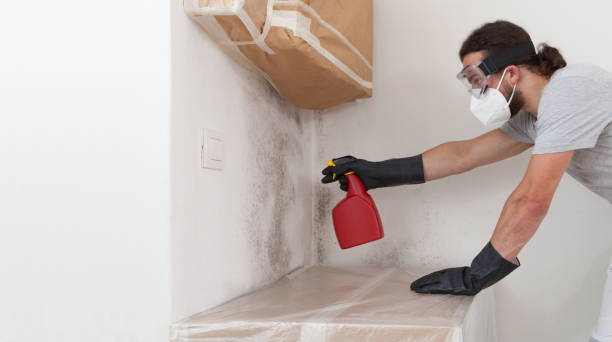 Professional Bathroom Mold Removal technician working in San Antonio, TX