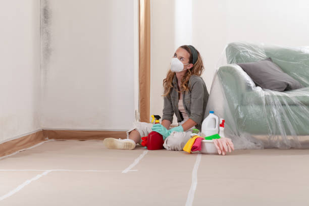 Reliable Bathroom Mold Removal contractor in San Antonio, TX by Mold Remediation HQ